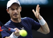 开云官方app入口-包含法国网球队力克意大利网球队，穆雷完成帽子戏法的词条