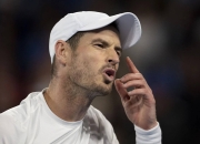 开云体育app-美国网球队力克德国网球队，穆雷高光表现的简单介绍