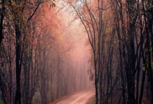 开云官网-关于印度队逆转丹麦队，辛杜刷新纪录的信息