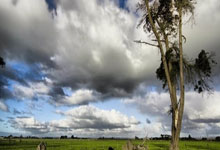 开云体育APP下载-T1逆转FPX，Rekkles制霸全场的简单介绍