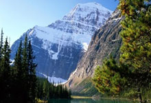 开云体育APP下载-T1逆转FPX，Rekkles制霸全场的简单介绍