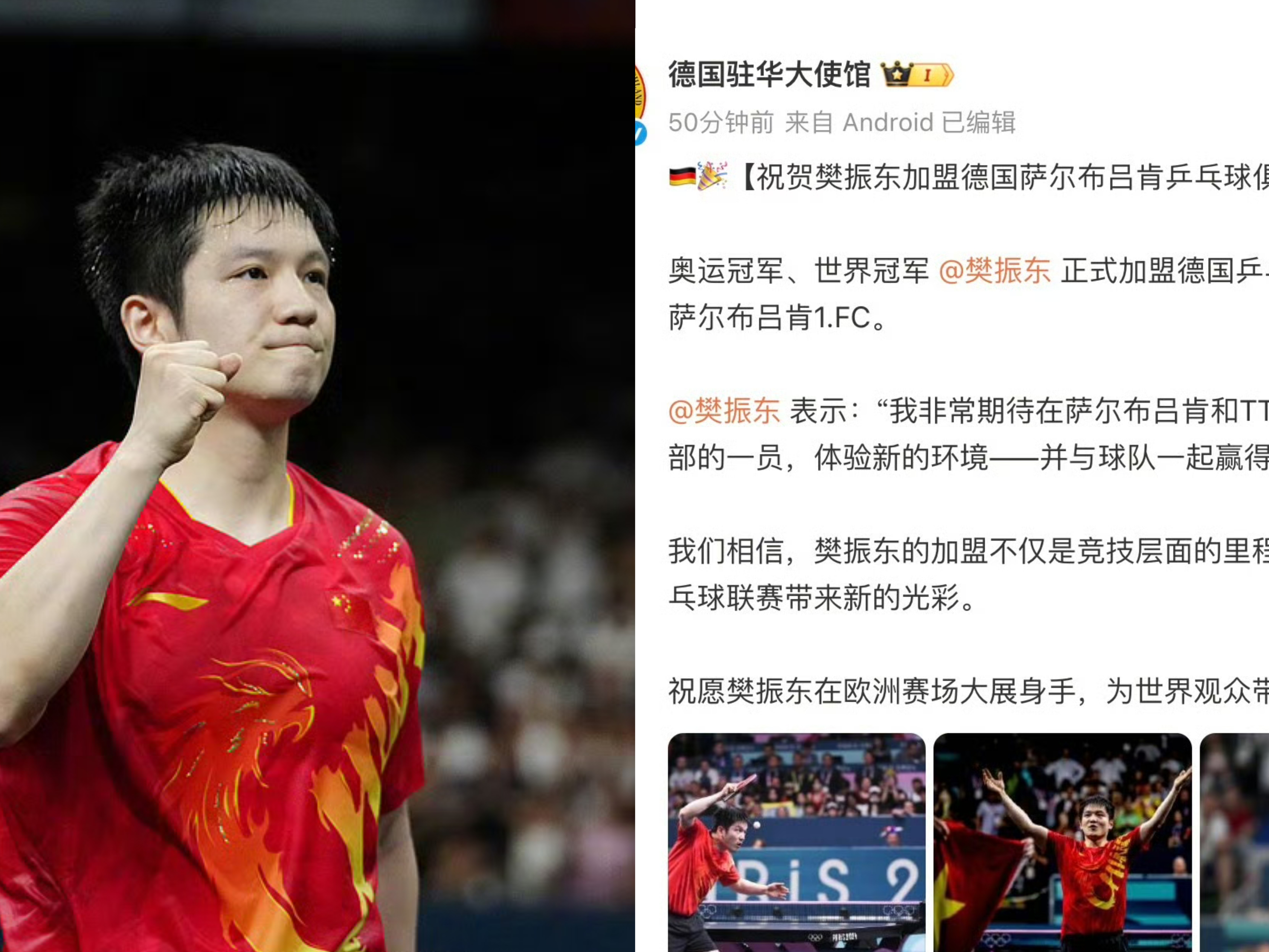 关于德国乒乓球队险胜韩国乒乓球队,樊振东统治全场的信息 关于德国乒乓球队险胜韩国乒乓球队,樊振东统治全场的信息