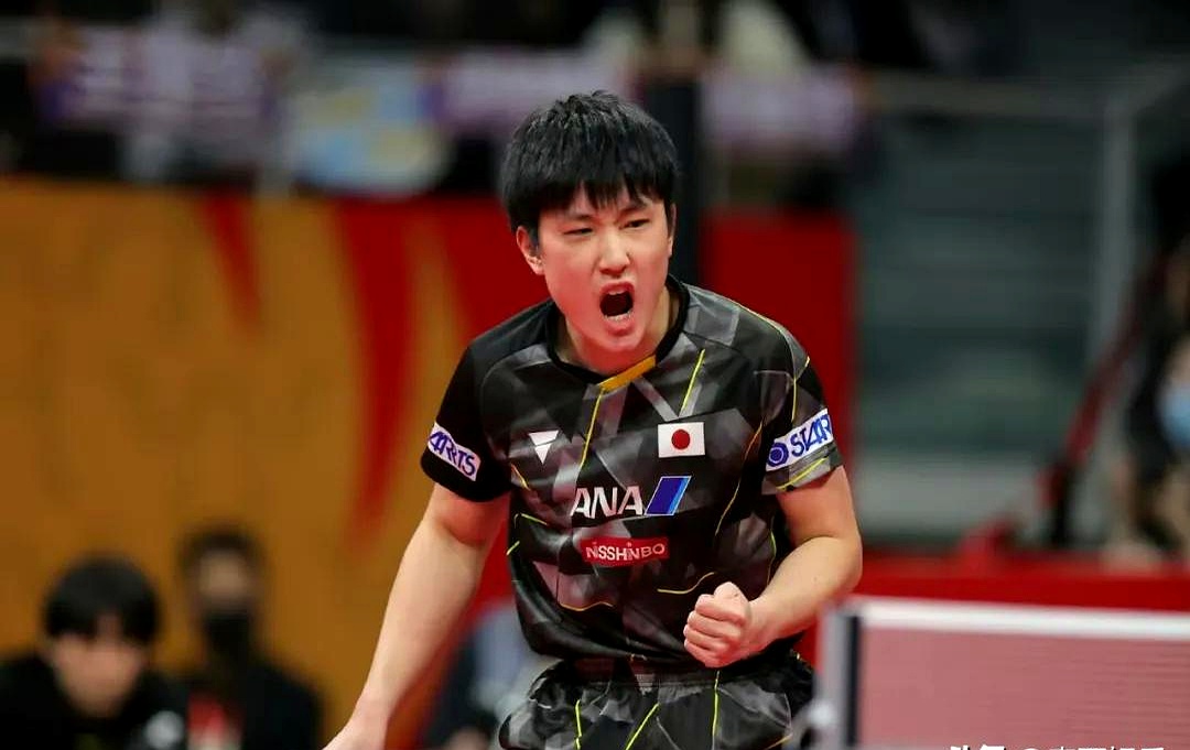 包含比利时乒乓球队险胜波兰乒乓球队,张本智和惊艳世界的词条 包含比利时乒乓球队险胜波兰乒乓球队,张本智和惊艳世界的词条