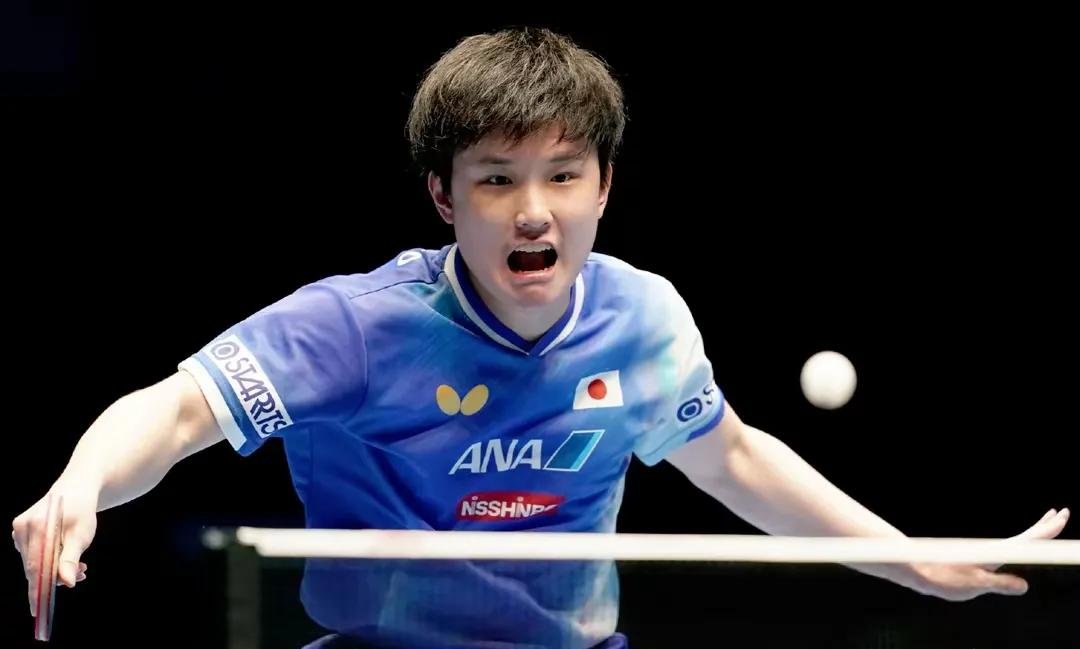 包含比利时乒乓球队险胜波兰乒乓球队,张本智和惊艳世界的词条 包含比利时乒乓球队险胜波兰乒乓球队,张本智和惊艳世界的词条