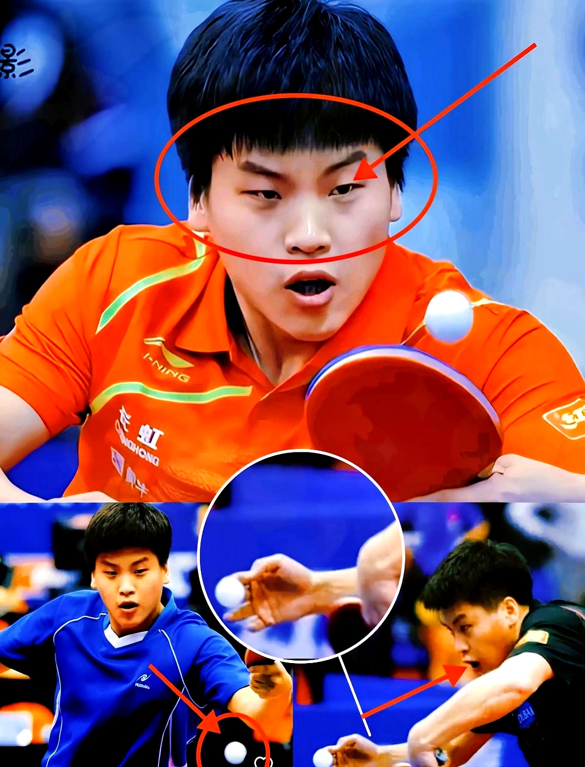 关于比利时乒乓球队轻取波兰乒乓球队，张继科绝境逆转的信息
