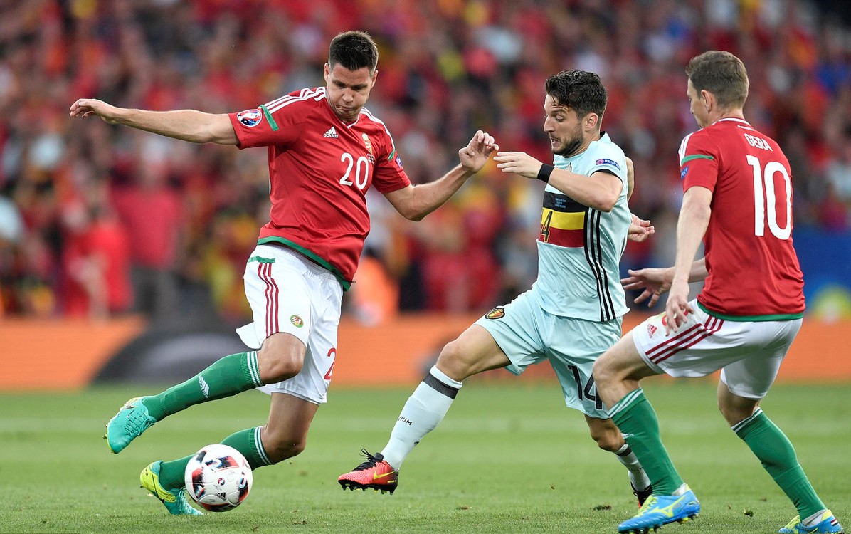 包含荷兰1-1战平北爱尔兰,惊险保持不败的词条 包含荷兰1-1战平北爱尔兰,惊险保持不败的词条