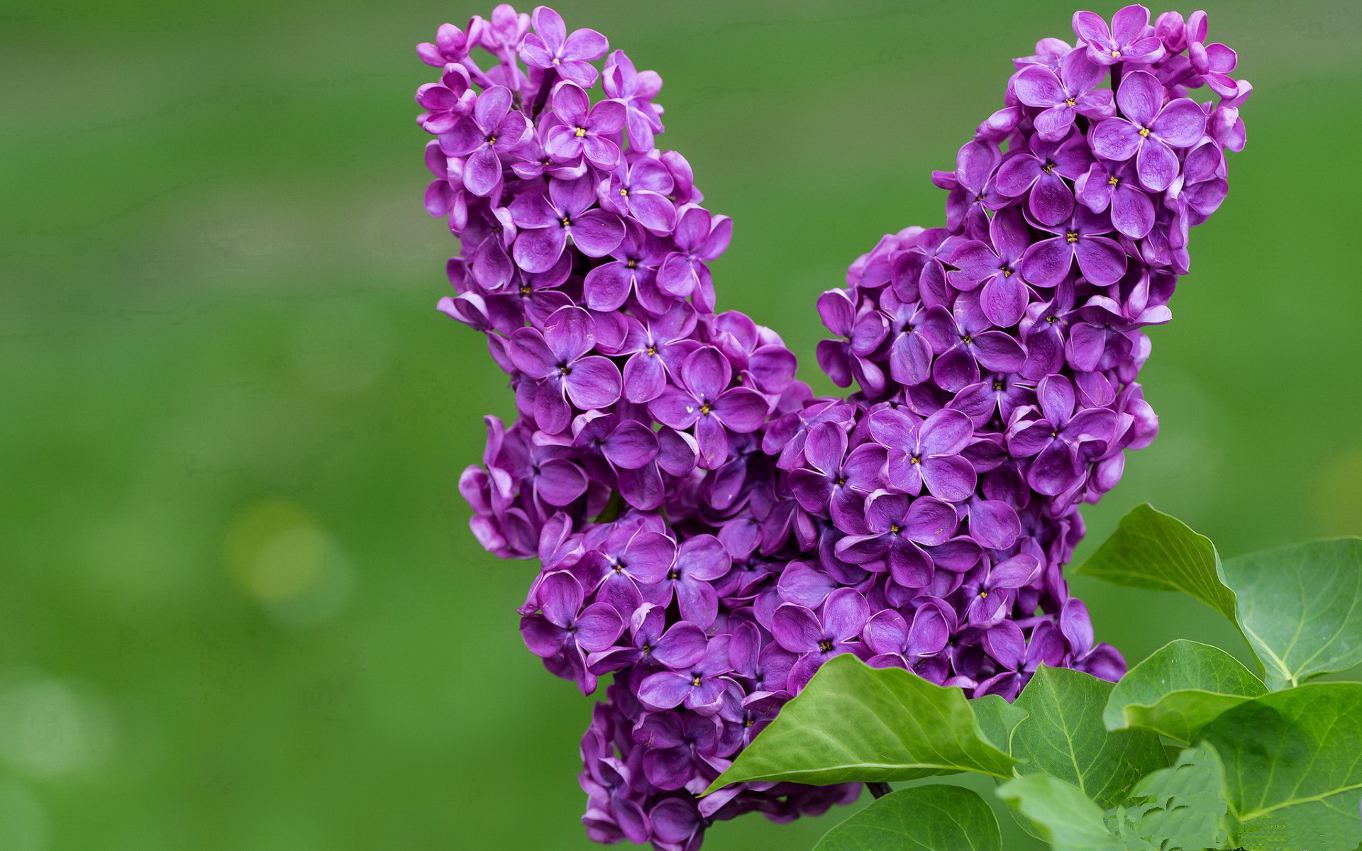 巴斯托尼里程碑之夜，韩国足球的伯纳乌奇迹