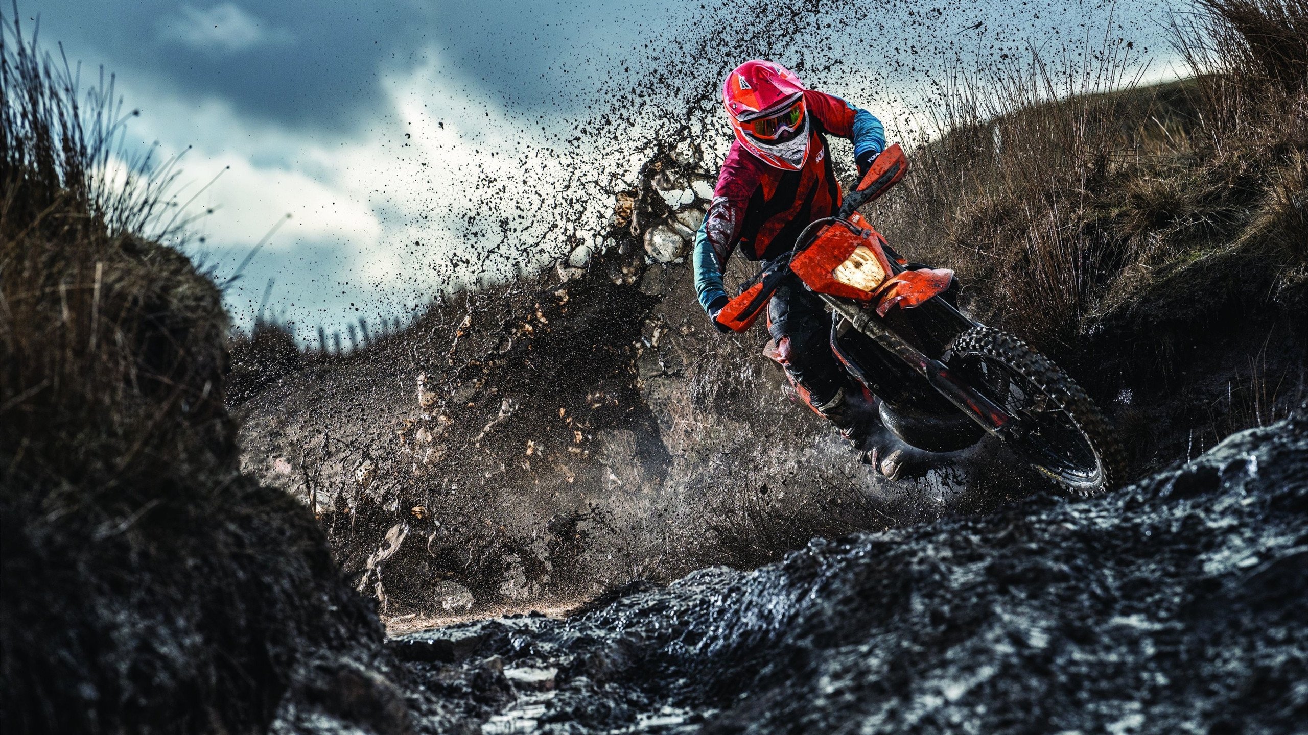 巴斯托尼，当硬仗之王遇上沙漠雄狮—阿尔及利亚对阵罗马的战术博弈启示录